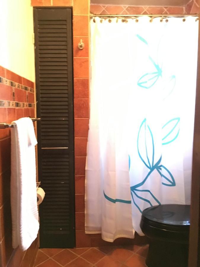Private Room In The Heart Of Little Havana マイアミ エクステリア 写真